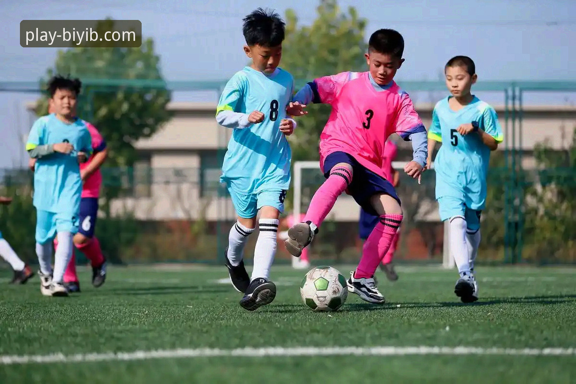 必一b体育官网 必一体育平台v2.1.0版本发布:探索多元化体育服务新边界